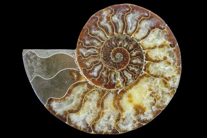 Agatized Ammonite Fossil (Half) - Madagascar #88181